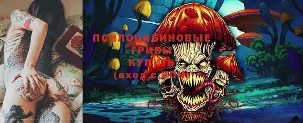 амф Алзамай