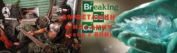 метадон Алексин