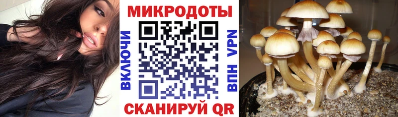 Галлюциногенные грибы MAGIC MUSHROOMS  мега   Чаплыгин 